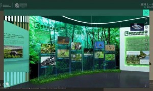 虫鸣鸟语婆娑林 COP15天津馆“森林之歌”